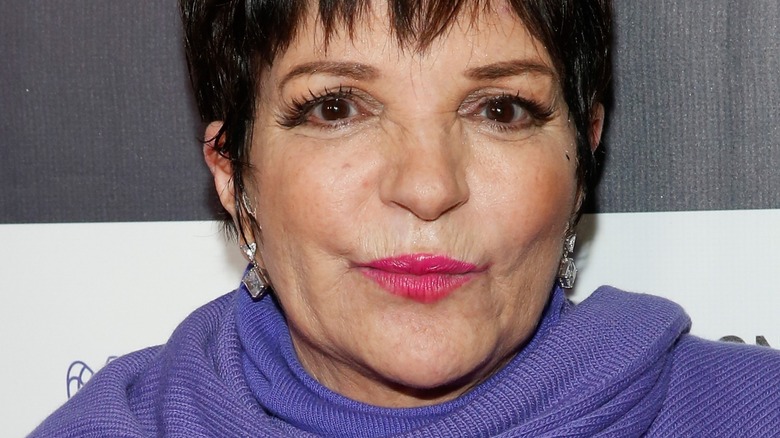 Liza Minnelli in purple sweater