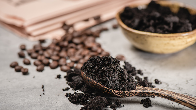 Used coffee grounds in spoon