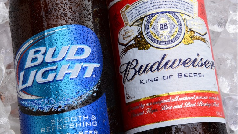 Bottles of Bud and Bud Light on ice