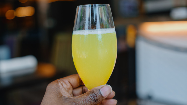 Closeup of a hand holding a mimosa