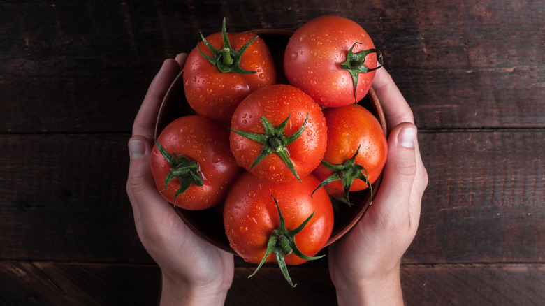 Hands holding tomatoes on brown wood