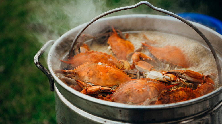 crab in a boiling pot