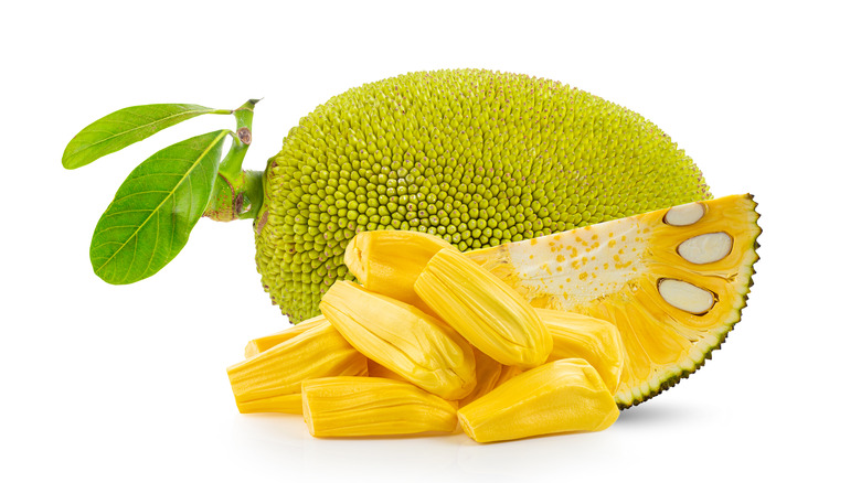 Jackfruit on white background