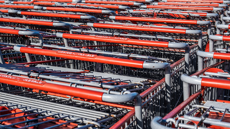 Costco grocery carts