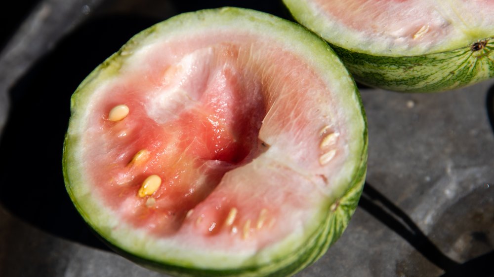 unripe watermelon cut in half