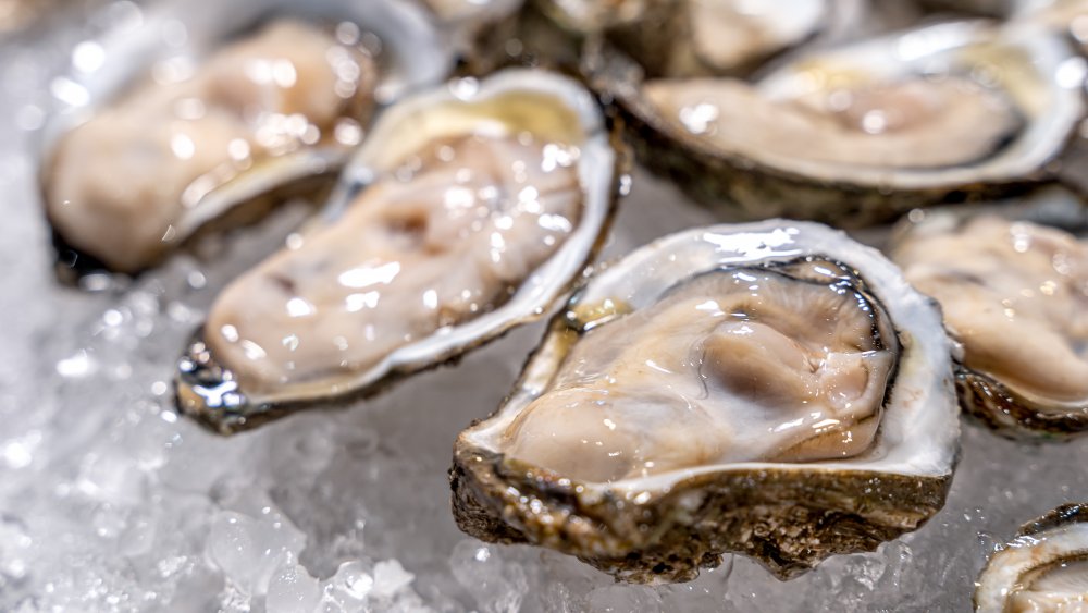 Raw oysters on ice