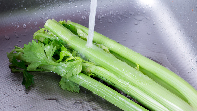 Washing celery in the sink