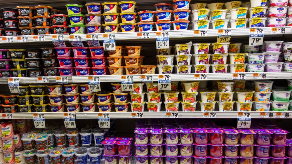 brands of yougurt in store case