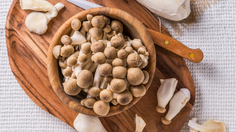 An assortment of fresh mushrooms 