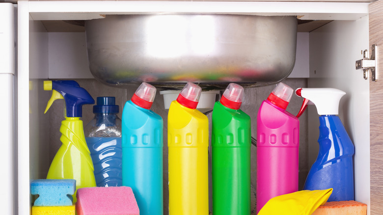 Cleaning products stored under kitchen sink