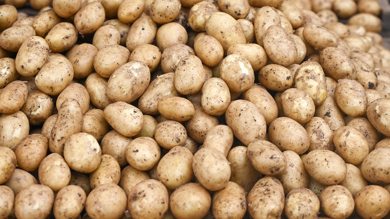 Closeup of beige potatoes with skin on in a pile