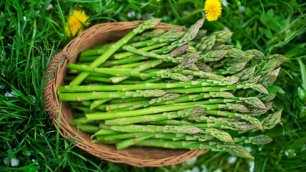 Asparagus in a basket on the grass