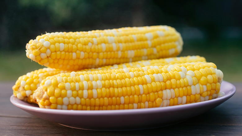 Corn on the cob on white plate