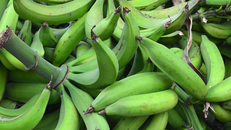 Green plantains