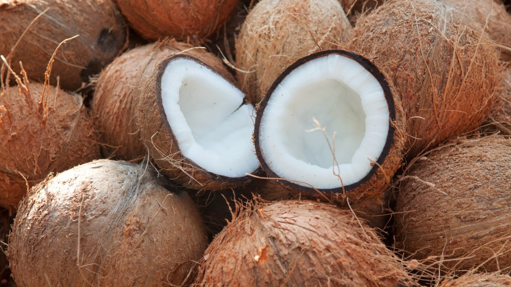 fresh coconut in shell