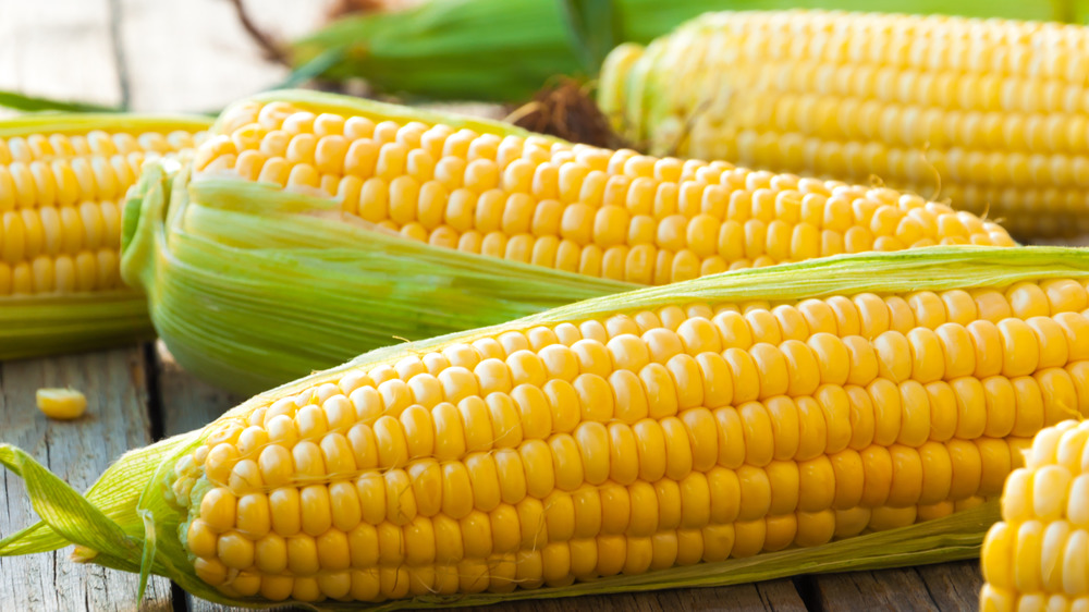 knife and cobs of corn