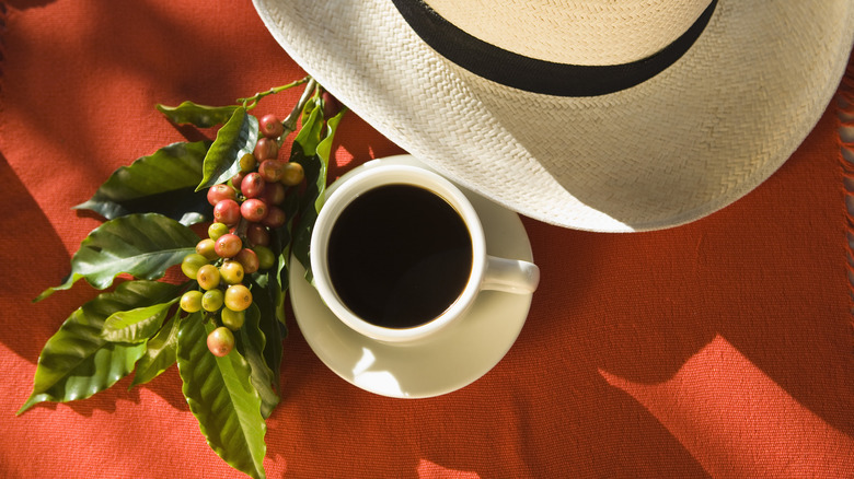A cup of coffee near coffee fruit