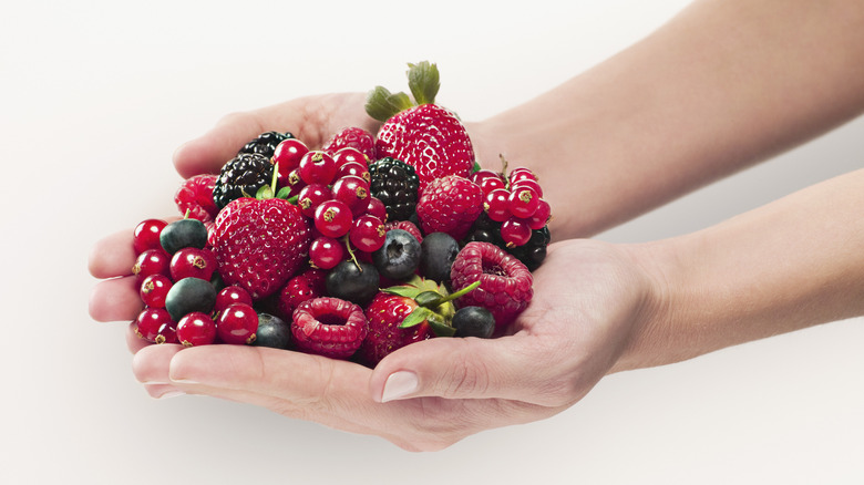 person holding an assortment of summer berries