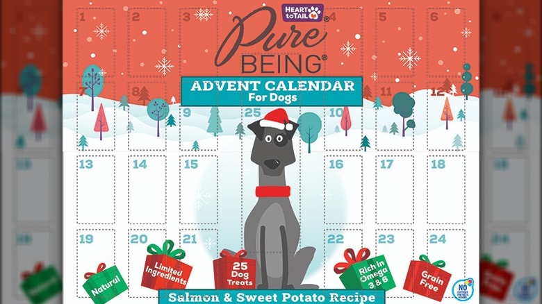 Your Furry Friends Deserve These Aldi 2021 Advent Calendars