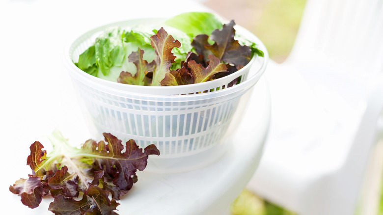 Salad spinner full of lettuce on white table