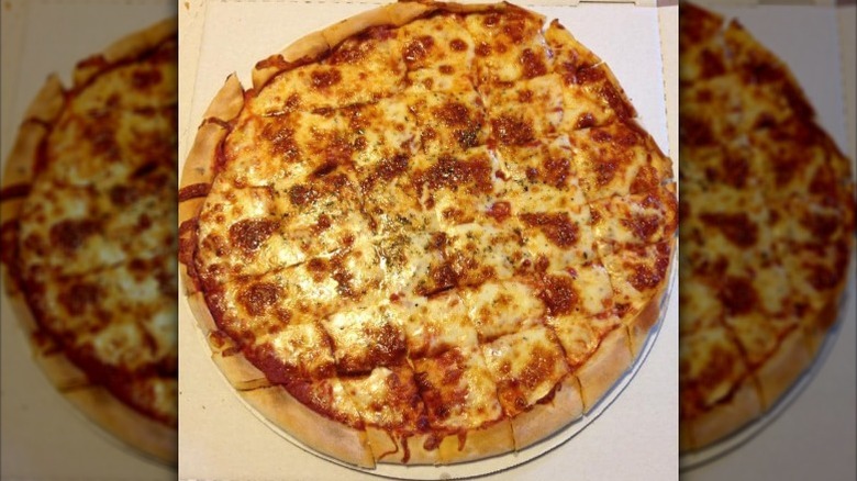 a large plain pizza cut into squares