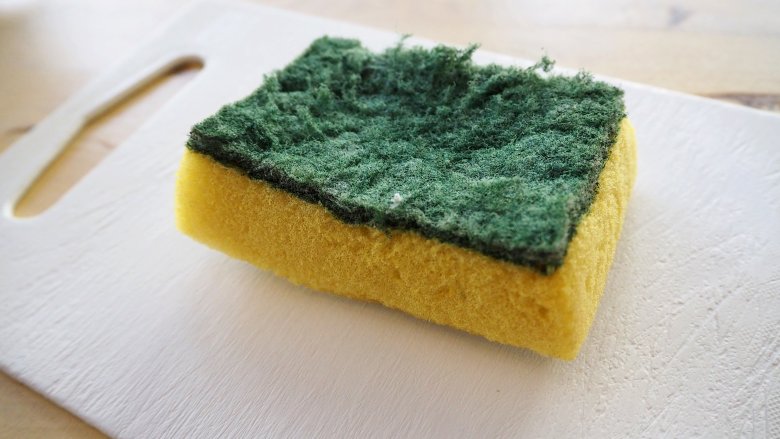 You're Using Your Kitchen Sponge Totally Wrong