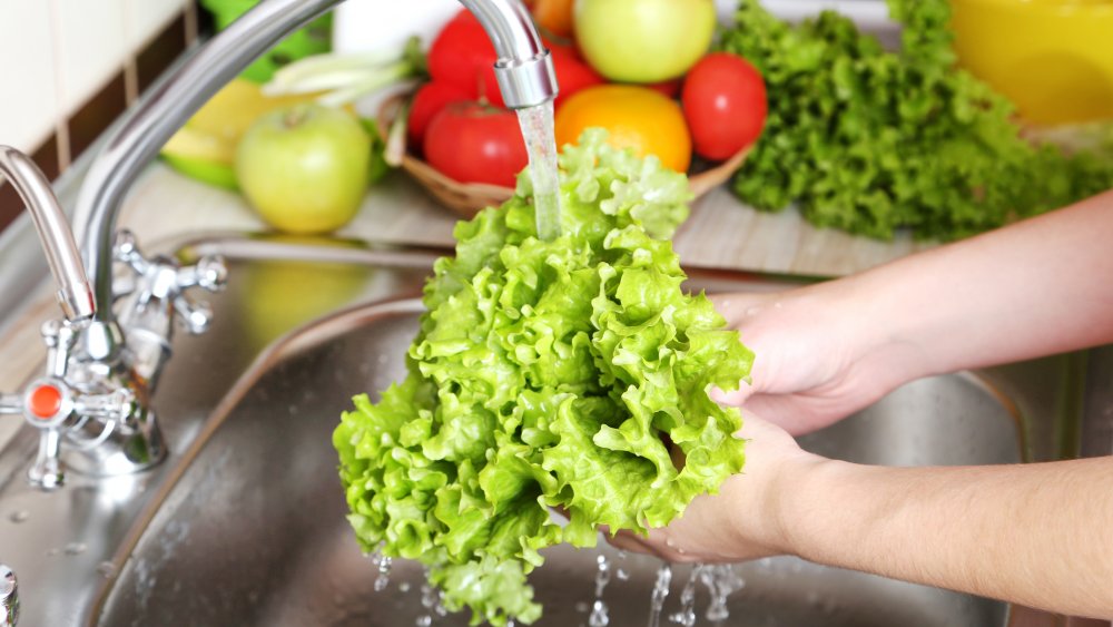 rinsing lettuce in sink