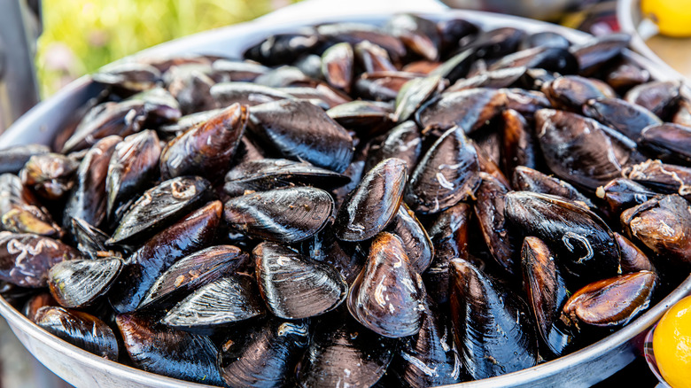 Mussels in a pan