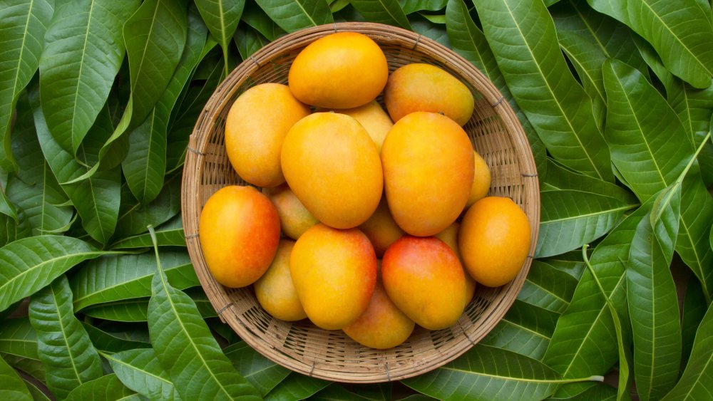 wooden bowl of mangos against green leaves