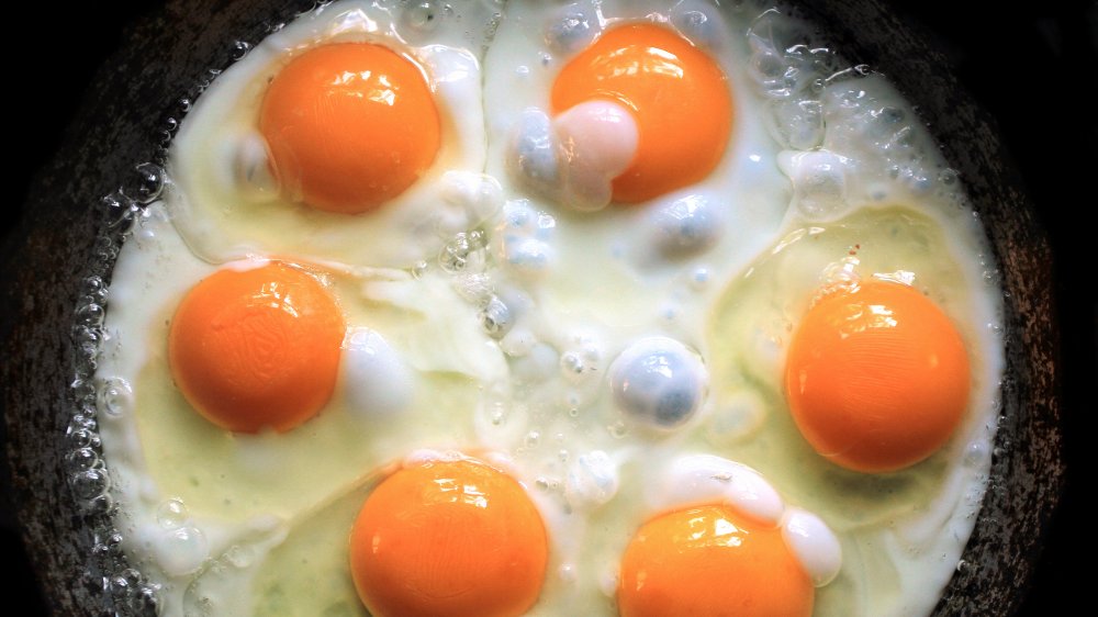 Fried Eggs