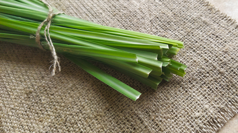 Lemongrass sprigs tied together on burlap cloth