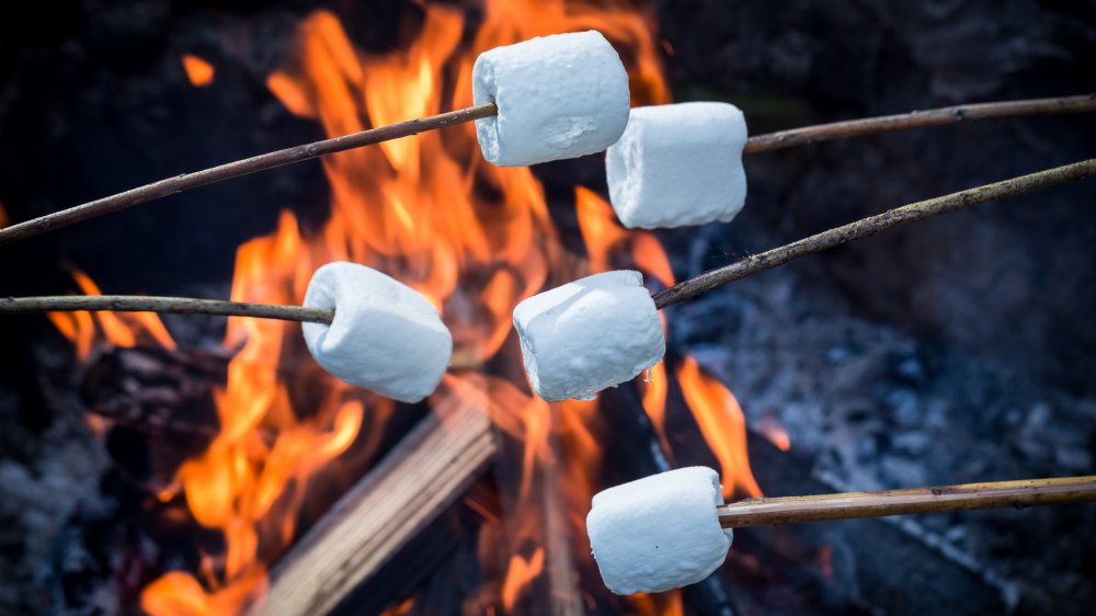 roasting marshmallows