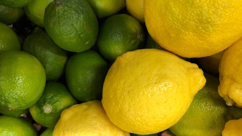 Close-up of lemons and limes