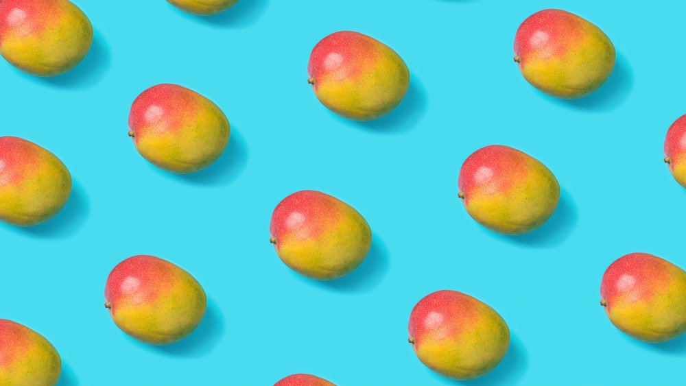 mangoes against a bright blue background