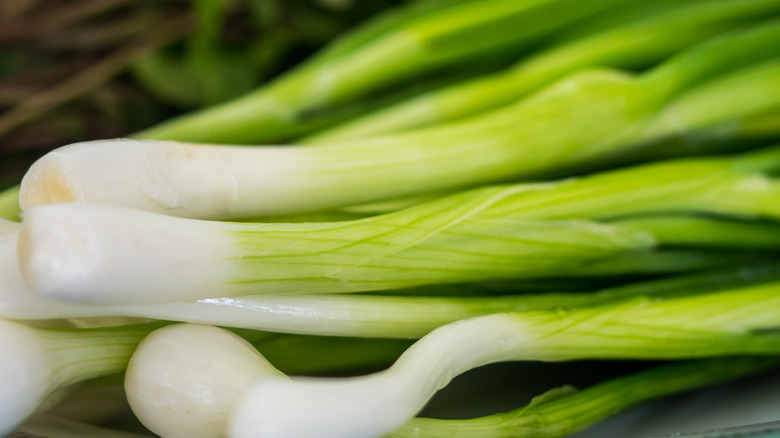 Scallions on kitchen counter