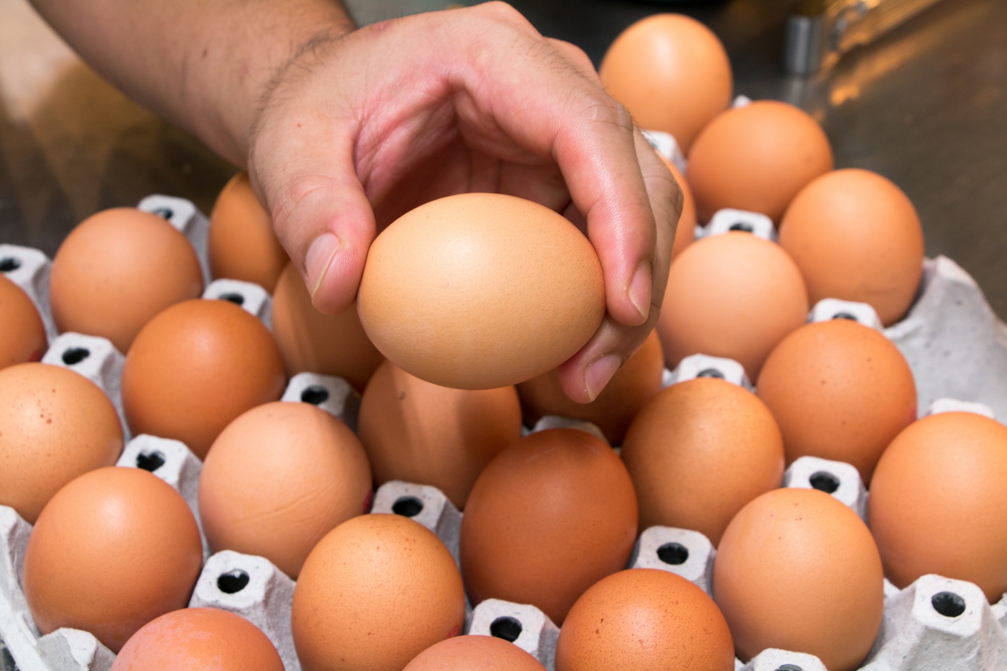 Amazing Uses For Eggs You Never Thought Of